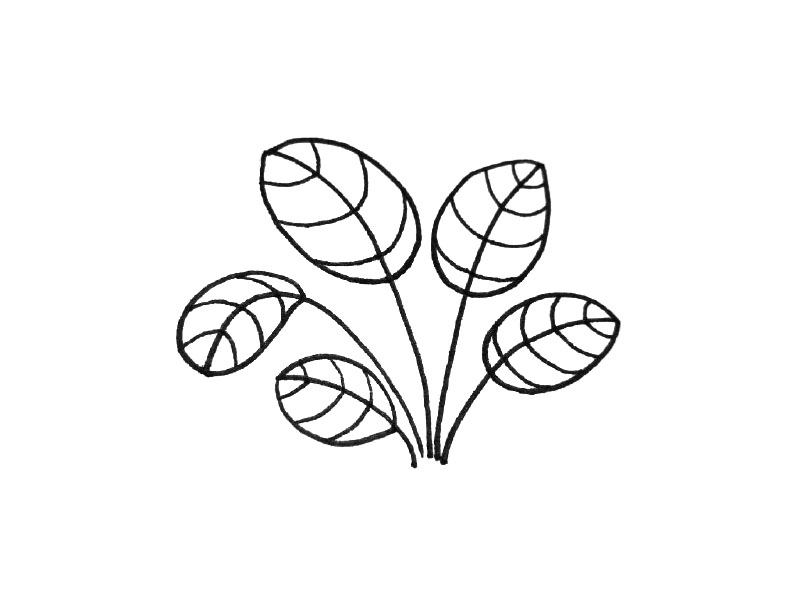 一组可爱的小叶子简笔画图片-图1