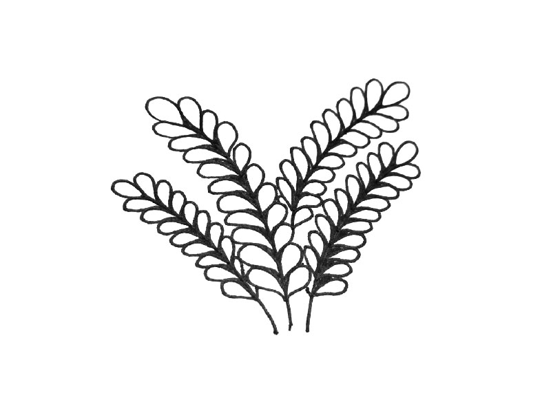 一组可爱的小叶子简笔画图片-图2