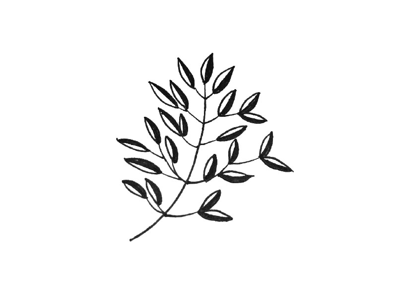 一组可爱的小叶子简笔画图片-图6