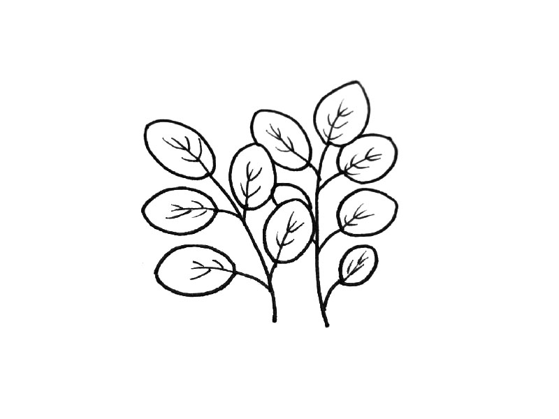 一组可爱的小叶子简笔画图片-图8