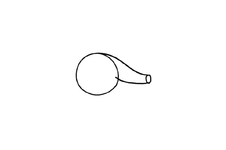 步骤2：画两条曲线把两个圆连起来。这样小象的鼻子轮廓就出来了。