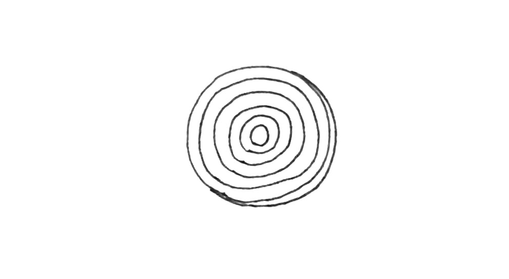 步骤3：接着在里面画上圆环。