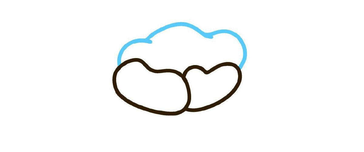 步骤3：画出后面的花瓣。