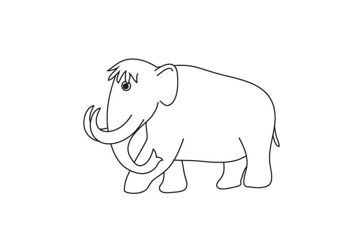 步骤5：接着画上它的肚子和另外两条腿。