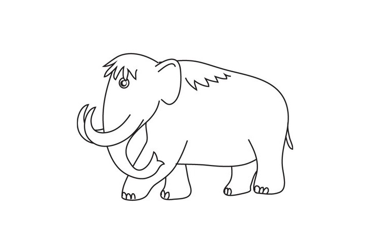 猛犸象简笔画画法详解