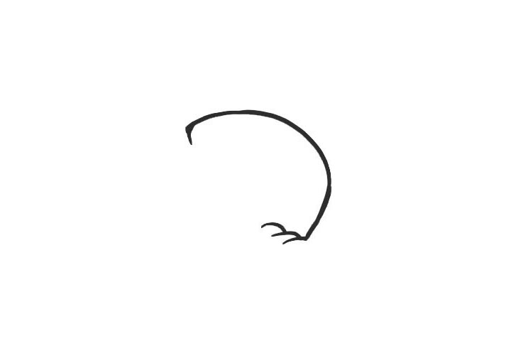 步骤1：先用曲线画出大象的头部轮廓。