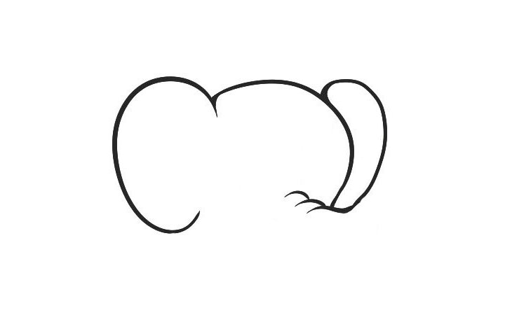 步骤2：在两边用曲线画出大大的耳朵。