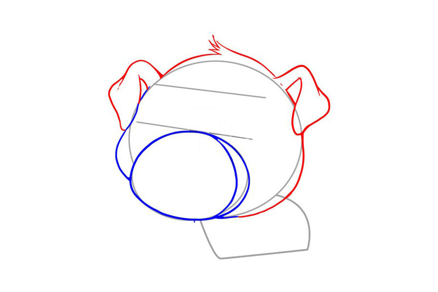 步骤3：接着勾画出小猪的耳朵和头部轮廓。