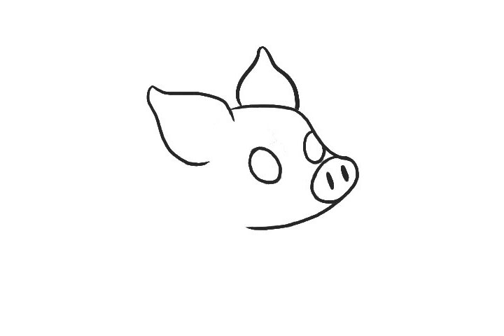 步骤2：画小猪的耳朵、鼻子、眼睛轮廓。