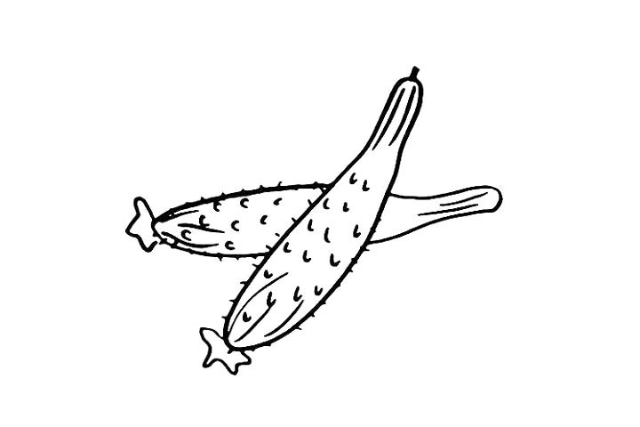 步骤6：还有它身上的毛刺.注意毛刺之间的距离