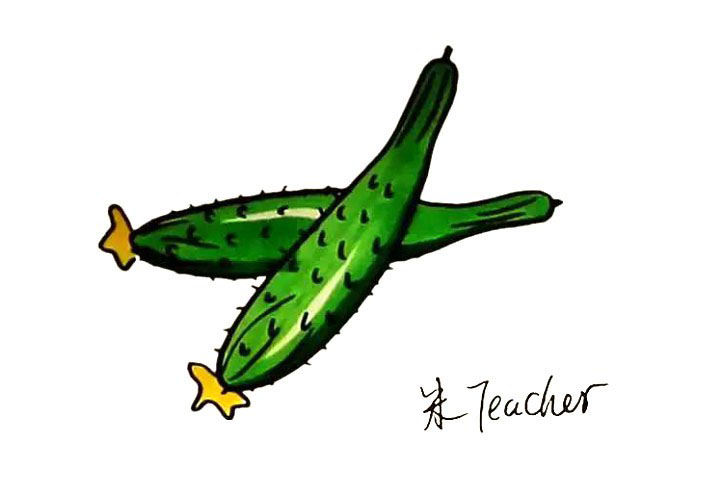 黄瓜简笔画画法步骤
