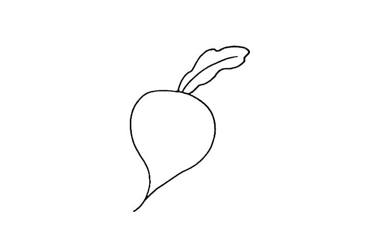 步骤2：果实的上方画上它的叶子.叶子有点微微下垂的感觉。