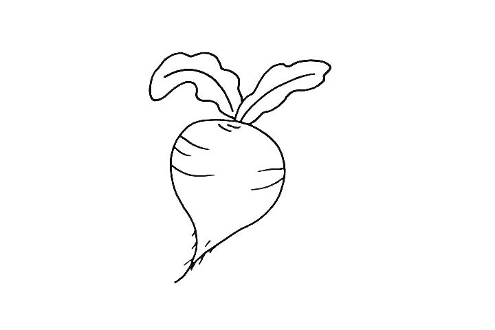 步骤4：然后在给果实加上一些条纹点缀一下.小尾巴上加上一点根须。