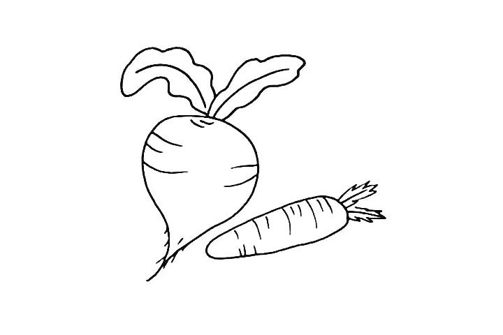 步骤7：再给胡萝卜的果实上画上一些条纹来点缀一下。