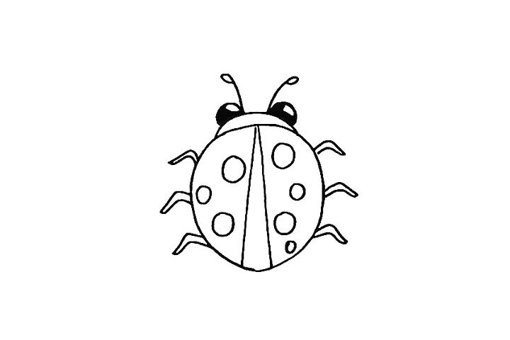 步骤7：在身子的两侧画出它的爪子.一边三条。