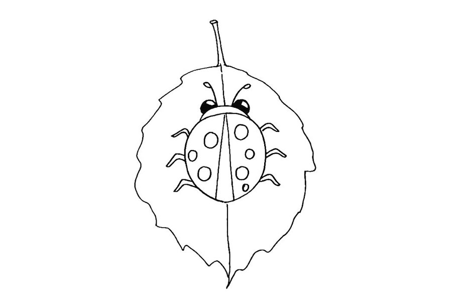 步骤8：然后在它的下面勾勒出一片叶子.是爬在叶子上面的。