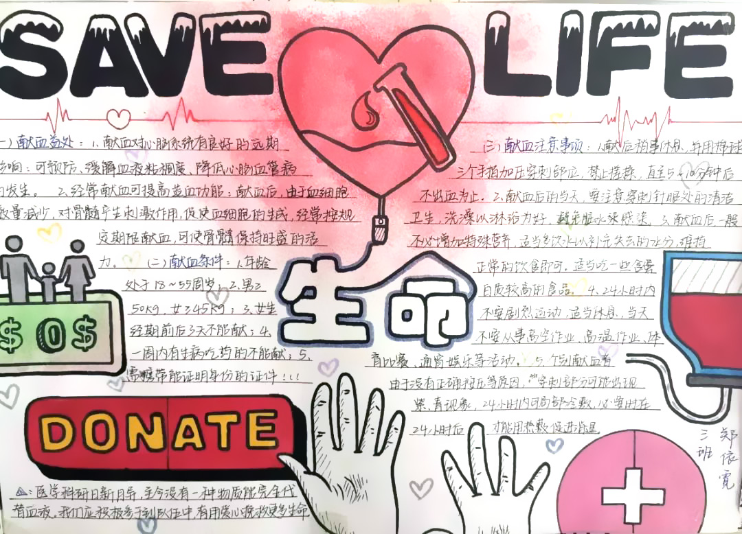 无偿献血日手抄报作品欣赏-图3