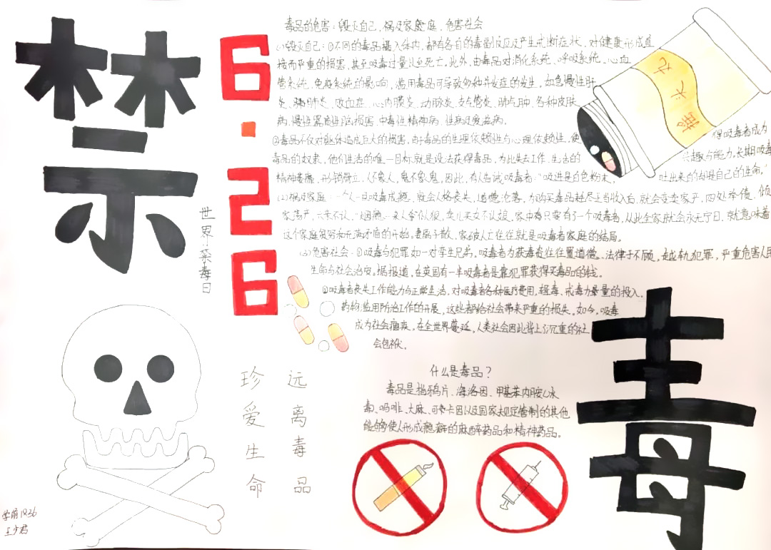 禁毒日手抄报欣赏-图4