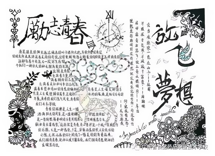 理想照亮未来手抄报-我的梦想