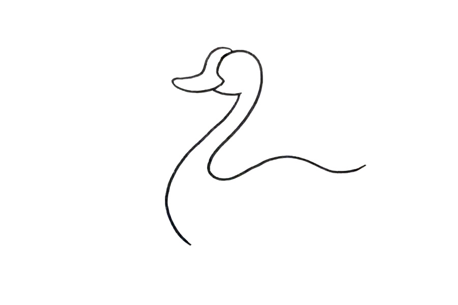 步骤2：接着画天鹅的嘴巴和脖子。