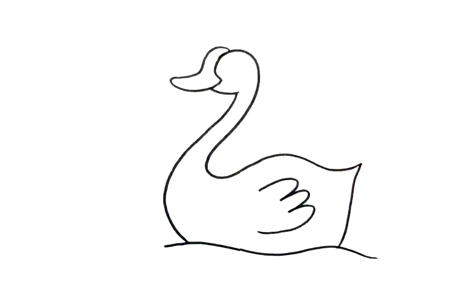 步骤5：然后画天鹅的翅膀。