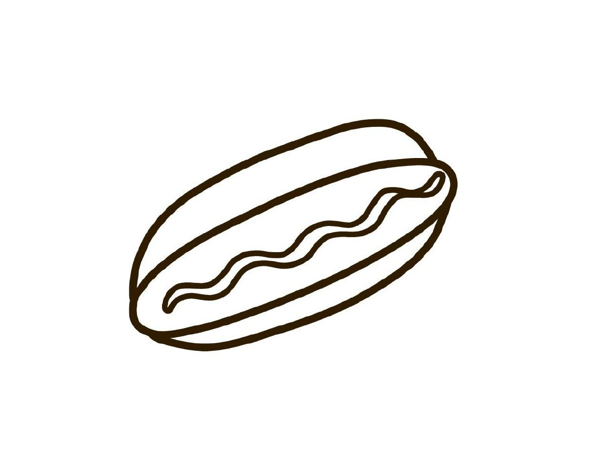 步骤6：准备上色。