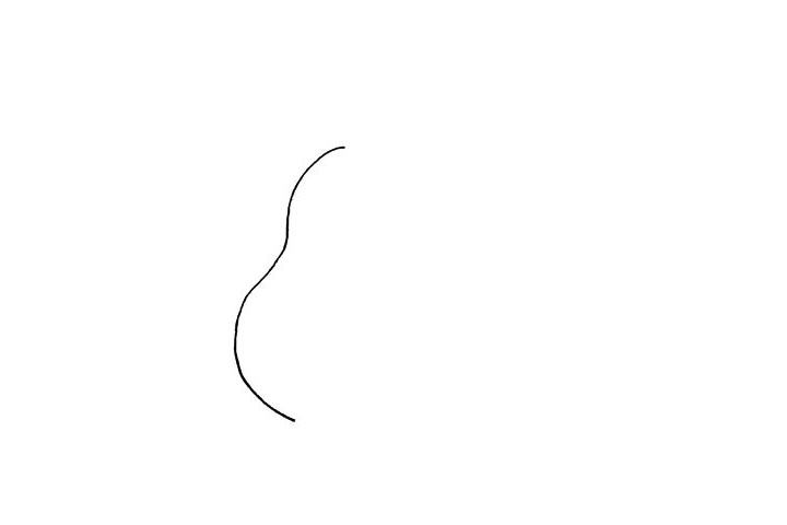 步骤1：首先用曲线画出梨子果实的一半.上细下宽。