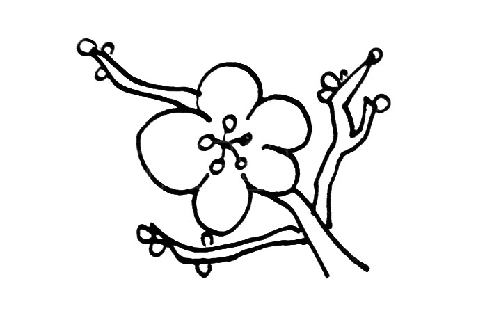 步骤3：在枝干上画上含苞待放的花骨朵。