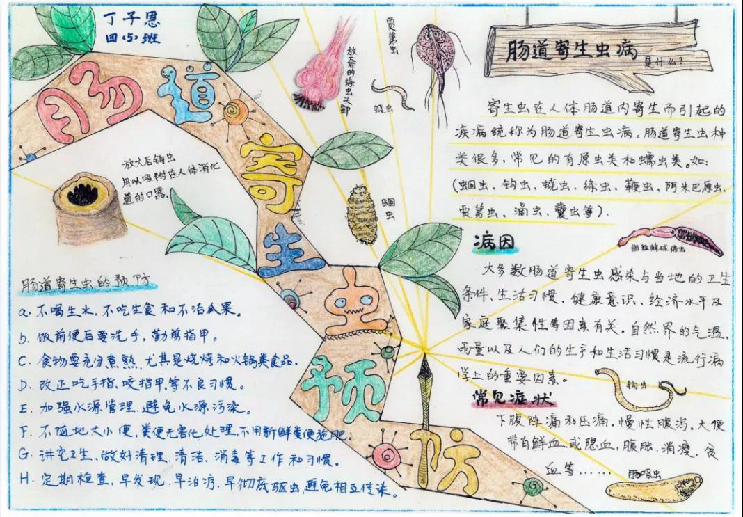 预防吸血虫病手抄报-图9