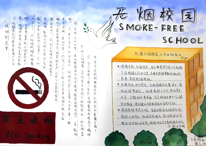 共创无烟校园手抄报-图6