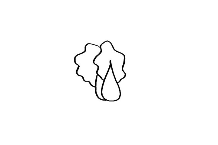 步骤3：在左边用同样的方法画出另一片叶子。