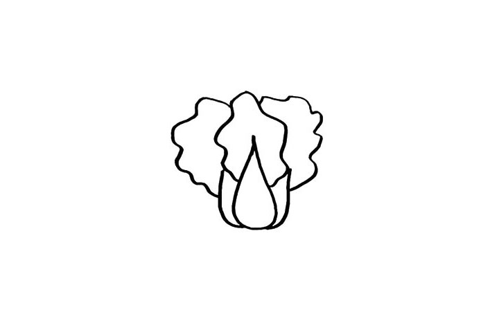 步骤4：还有右边的叶子.同学们要仔细观察线条的变化。