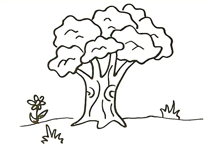 步骤9：然后用波浪线画出树冠上的纹理。