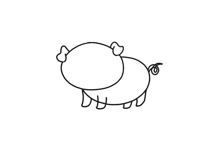 步骤2：多余的部分用橡皮擦掉。小猪的尾巴画上两条曲线作为。四条腿，又短又粗壮。