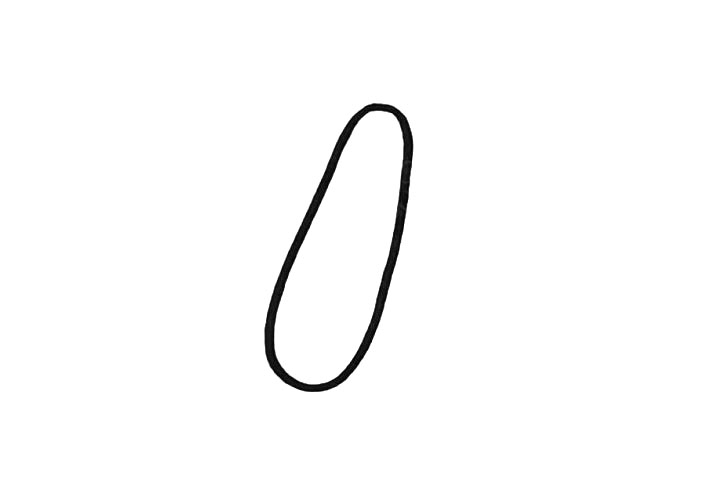 步骤1：首先画一个长长的椭圆作为蘑菇柄。