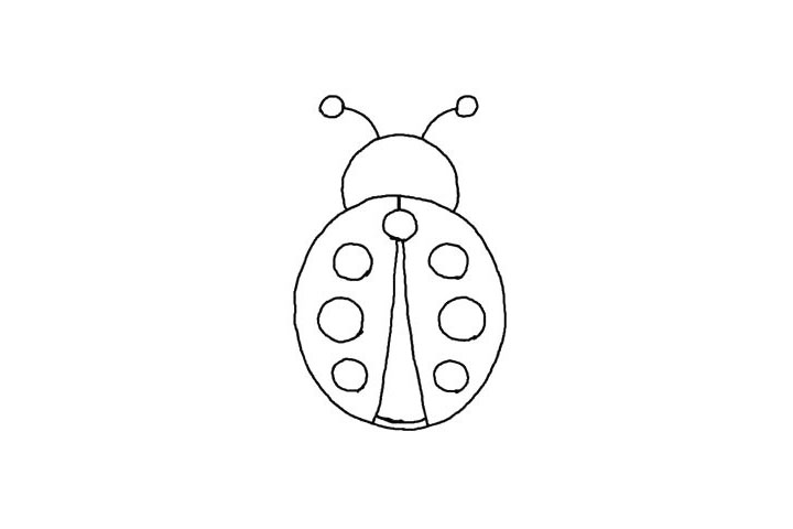 步骤4：一条直线连接中间的圆，相交后向两边分成两条线，这是他的翅膀，修改一下它的尾部。