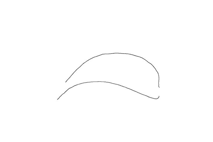 步骤1：先画海豚身体的轮廓，弯曲向左的弧线，上面画一条类似半圆的弧线。