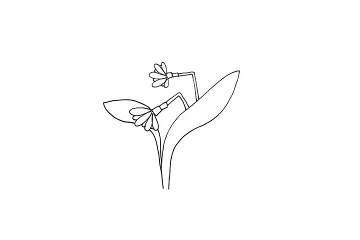 步骤6：然后我们用两条曲线画出它另一边的叶子。