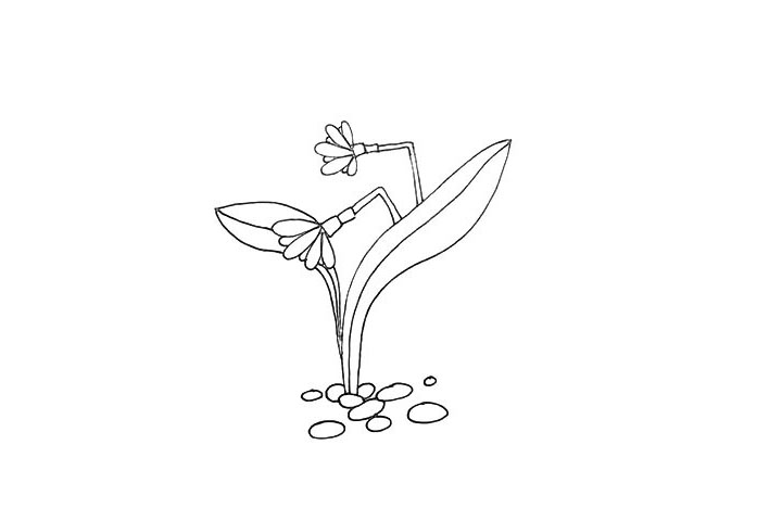 步骤8：我们用小石子在周围装饰一下。