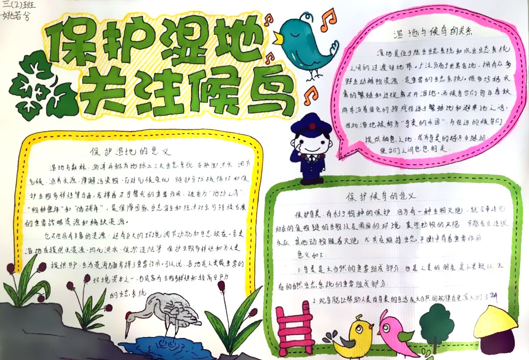 保护湿地，关注候鸟手抄报-图1