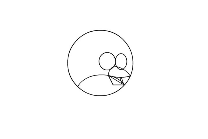 步骤4：以圆弧为分割线， 画出小鸟的下嘴， 嘴里的舌头很好画， 也是尖尖的。