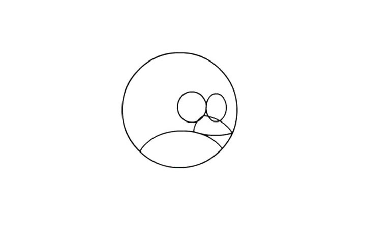 步骤3：然后在两个眼眶中下方 画出小鸟的上嘴，尖尖的。