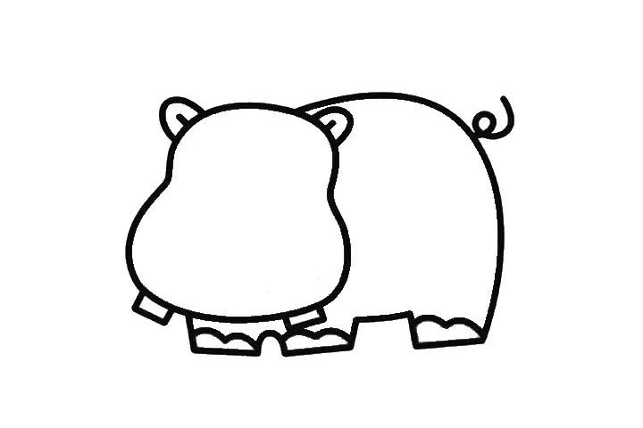 步骤3：再画出河马壮壮的身体， 要有粗壮粗壮的感觉。 别忘了还有一条弯曲的小短尾巴。