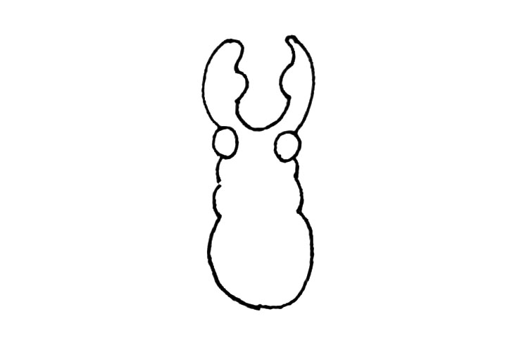 步骤3：然后下面再画上三段对称的弧线，最后一段弧线长一些连接起来。