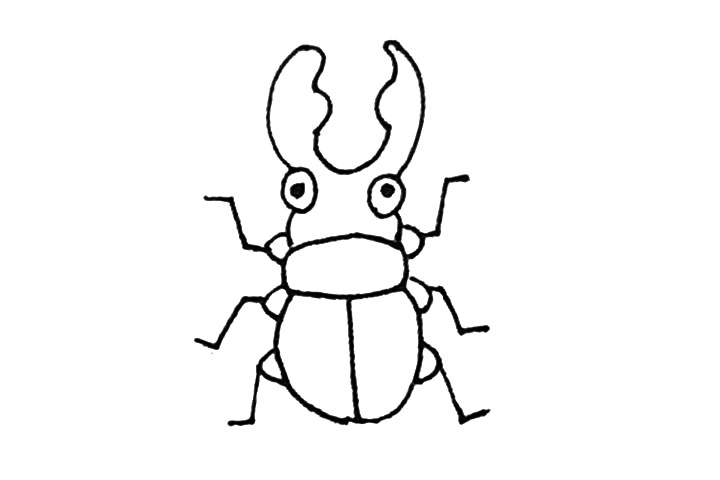 步骤6：再用折线，画出甲壳虫的腿，注意细节，还要点上甲壳虫的眼睛。