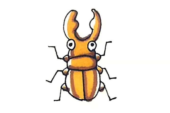 甲壳虫简笔画画法步骤