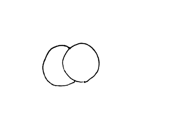 步骤1：先画上两个圆形。