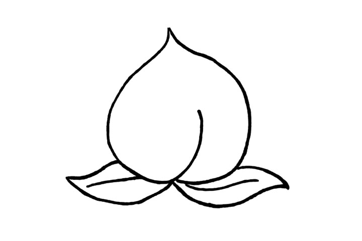 步骤4：在第三步的基础上，我们在画出右边的叶子，注意观察位置。