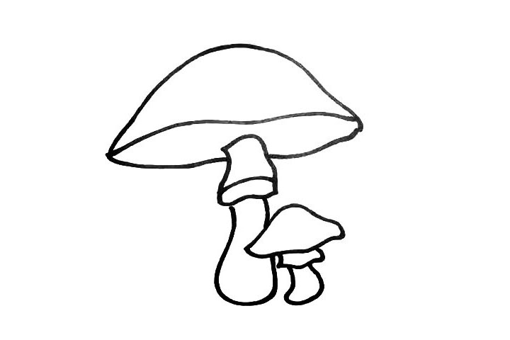 步骤6：接着我们把下节柄也画出来.线条要圆润些。