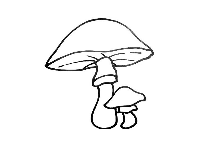 步骤7：现在我们用线条勾勒出蘑菇的纹理。